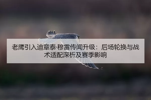 老鹰引入迪章泰·穆雷传闻升级：后场轮换与战术适配深析及赛季影响