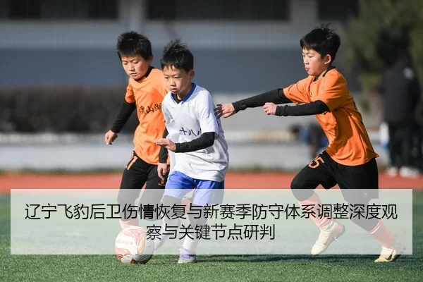 辽宁飞豹后卫伤情恢复与新赛季防守体系调整深度观察与关键节点研判
